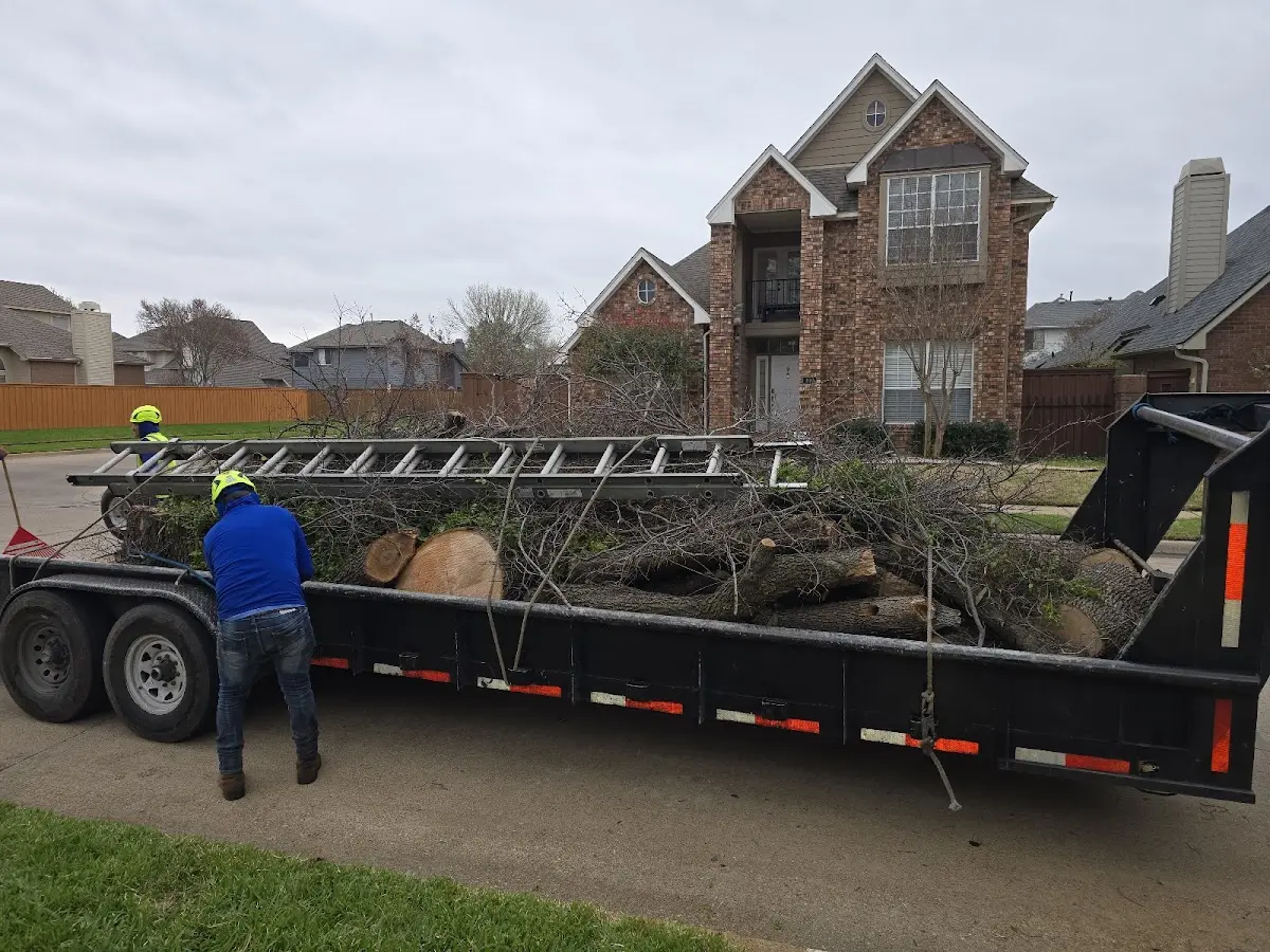 Expert Tree Removal with proper safety equipment in Beaver